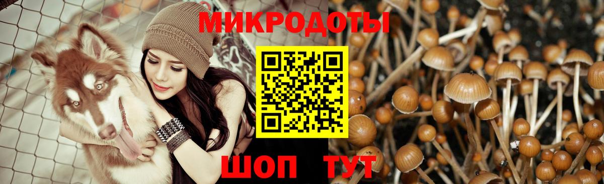 Галлюциногенные грибы мухоморы Тимашёвск
