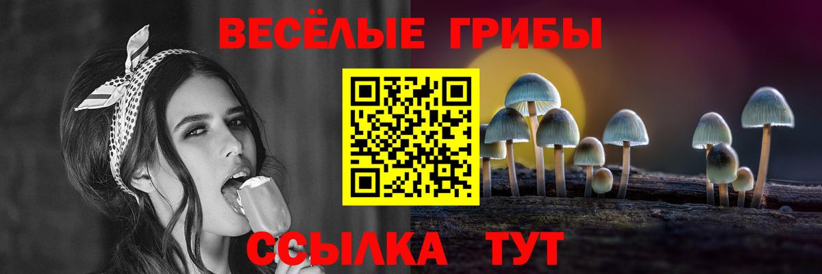 магазин продажи наркотиков  Вход с VPN  Тимашёвск  Галлюциногенные грибы мухоморы 